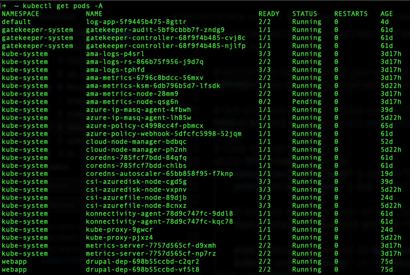 Figure 3. List of running pods inside the cluster