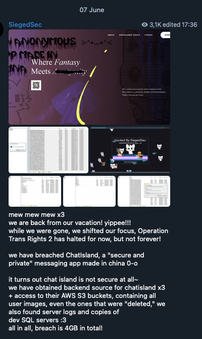 Figure 21. SiegedSec describing their attack on a messaging app’s website